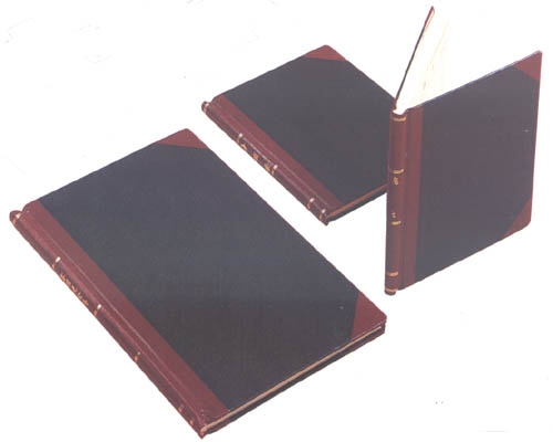 1/100 �w���`����